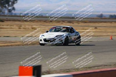 media/Nov-16-2024-CalClub SCCA (Sat) [[641f3b2761]]/Group 4/Grid and Front Straight/